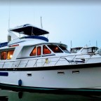 About our little wandering family…